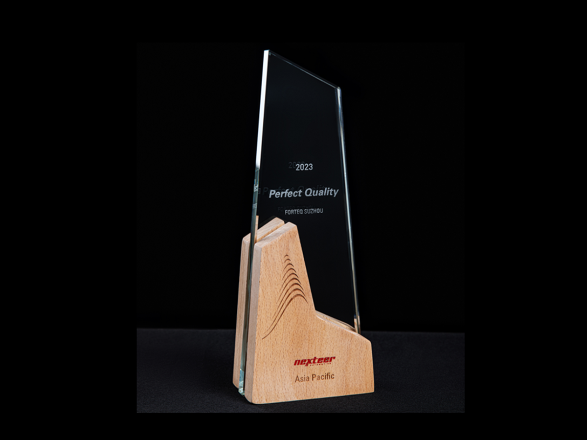 Pefect Quality Nexteer Perfect Quality Award | forteq Group